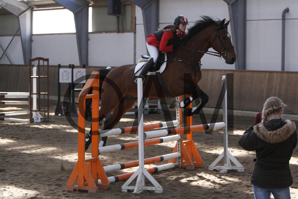 17/03 - 13 | Glostrup rideklub, spring billede 48