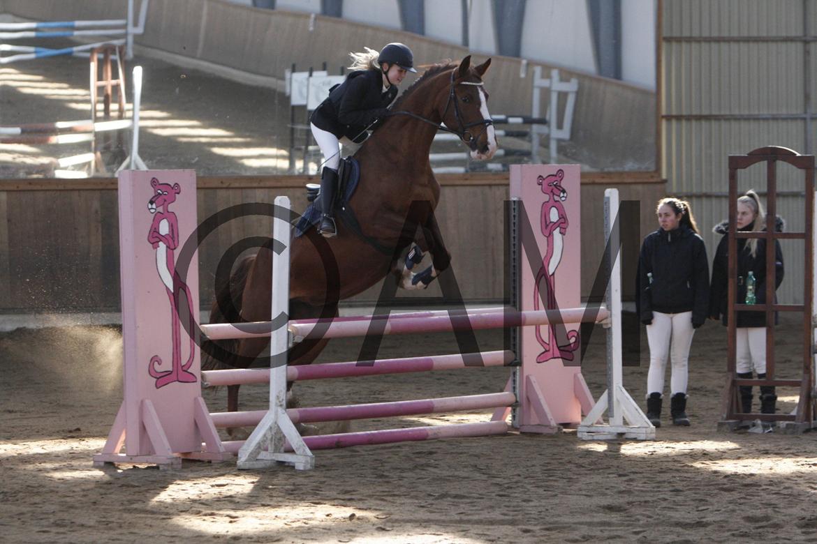 17/03 - 13 | Glostrup rideklub, spring billede 49