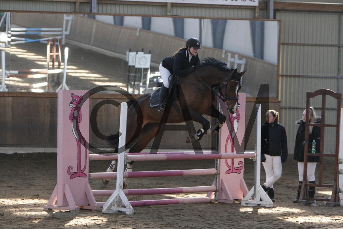 17/03 - 13 | Glostrup rideklub, spring billede 53