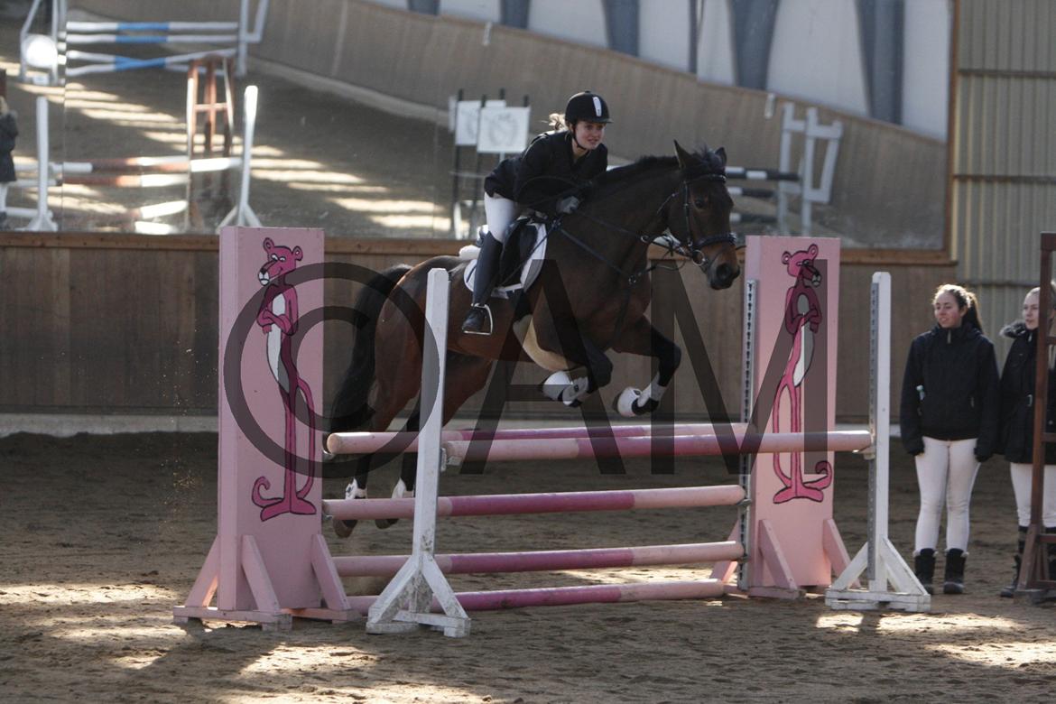 17/03 - 13 | Glostrup rideklub, spring billede 55