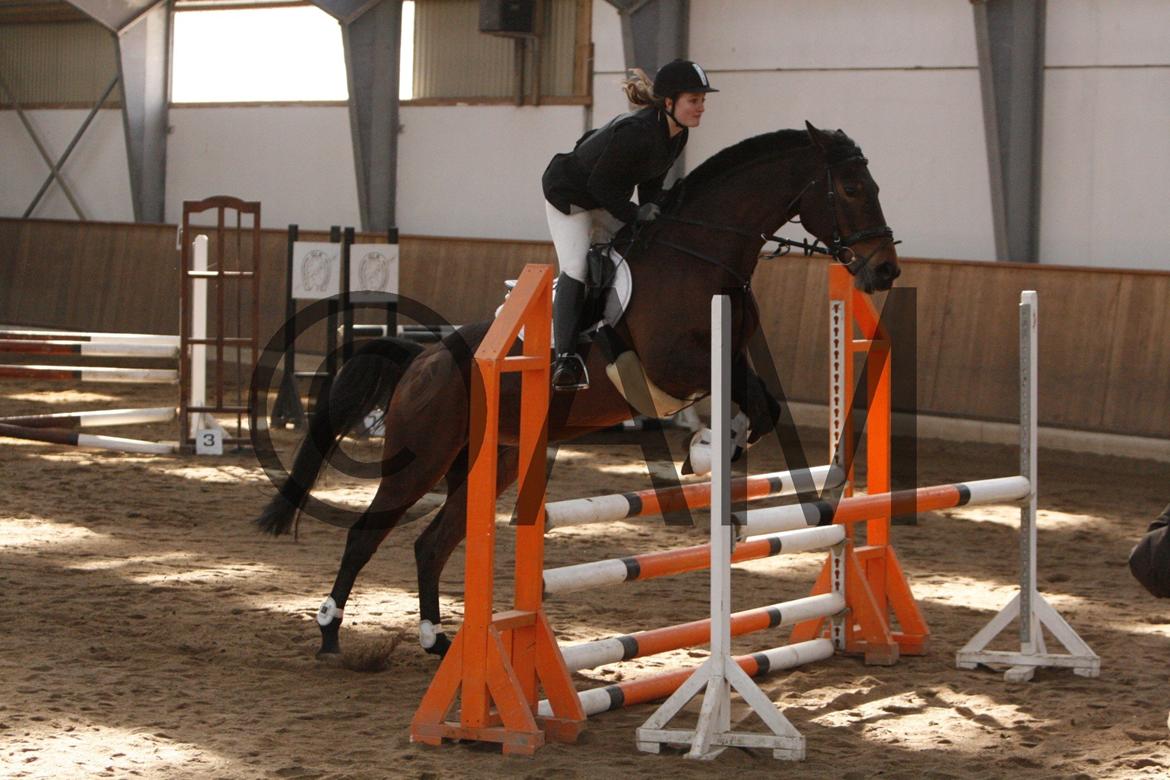 17/03 - 13 | Glostrup rideklub, spring billede 56