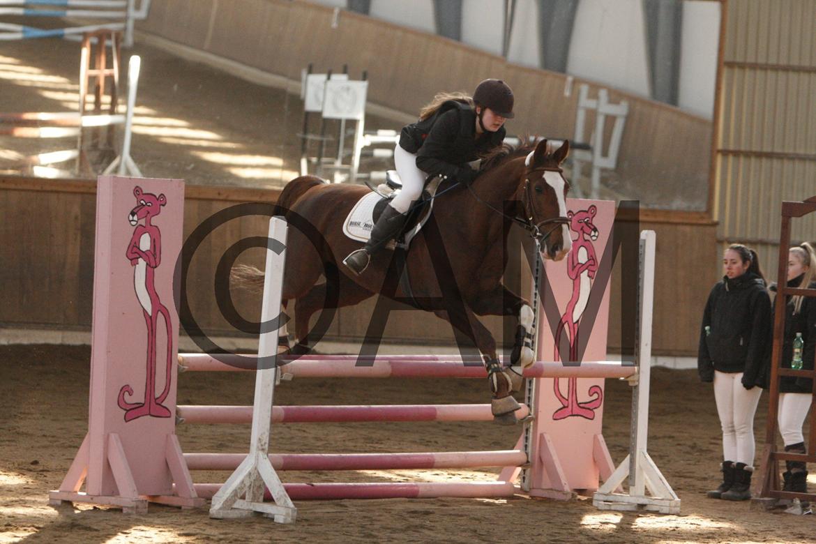 17/03 - 13 | Glostrup rideklub, spring billede 57