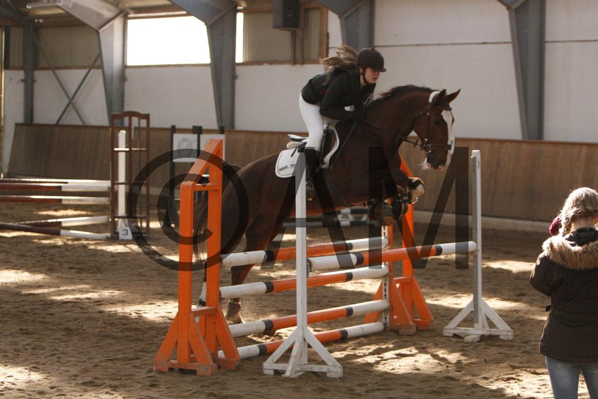 17/03 - 13 | Glostrup rideklub, spring billede 59