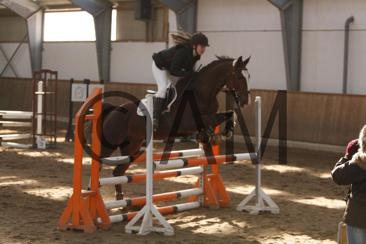 17/03 - 13 | Glostrup rideklub, spring billede 60