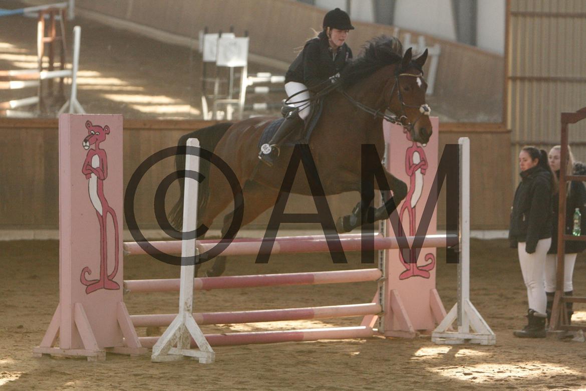 17/03 - 13 | Glostrup rideklub, spring billede 61