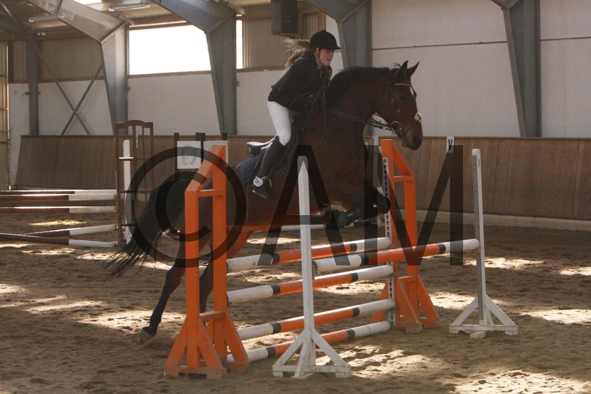 17/03 - 13 | Glostrup rideklub, spring billede 62