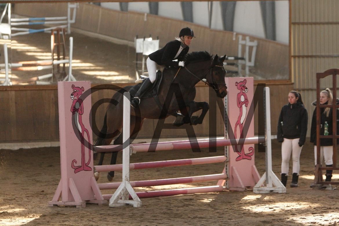 17/03 - 13 | Glostrup rideklub, spring billede 63