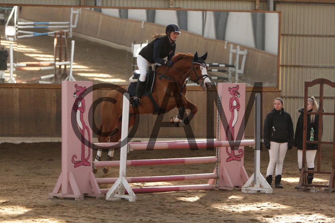 17/03 - 13 | Glostrup rideklub, spring billede 64