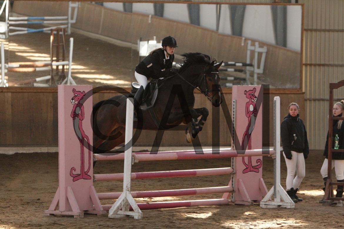 17/03 - 13 | Glostrup rideklub, spring billede 66