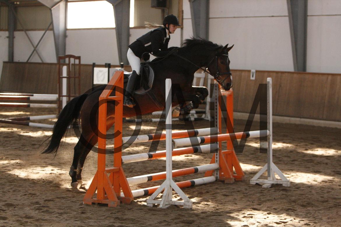 17/03 - 13 | Glostrup rideklub, spring billede 67