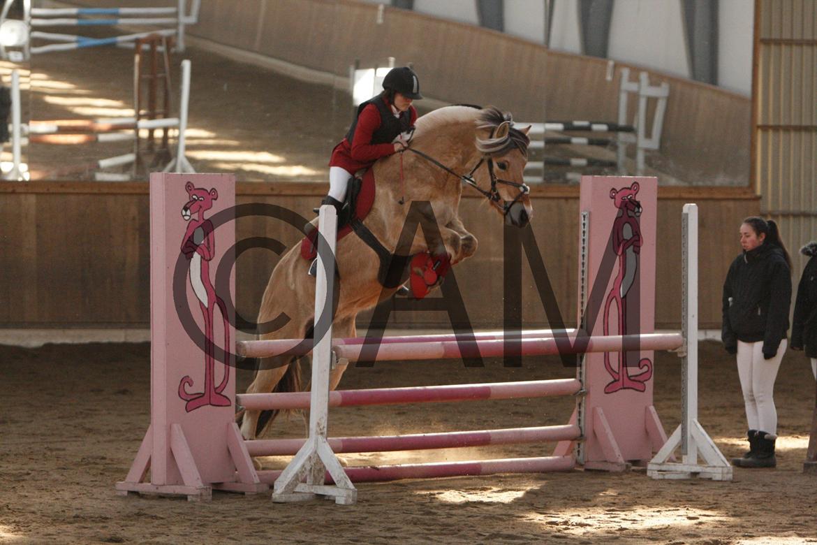 17/03 - 13 | Glostrup rideklub, spring billede 68