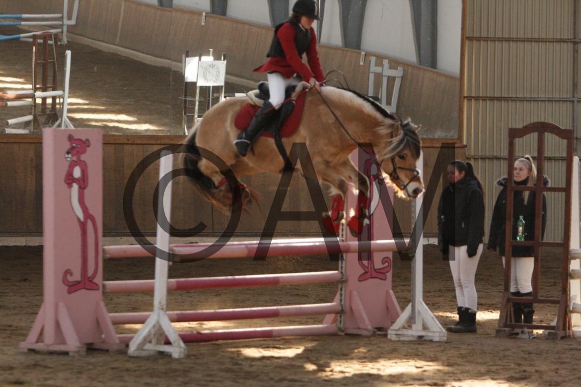 17/03 - 13 | Glostrup rideklub, spring billede 69