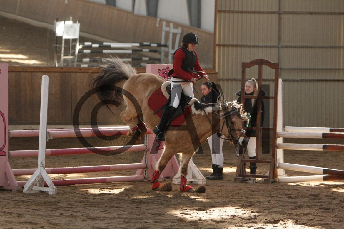 17/03 - 13 | Glostrup rideklub, spring billede 70