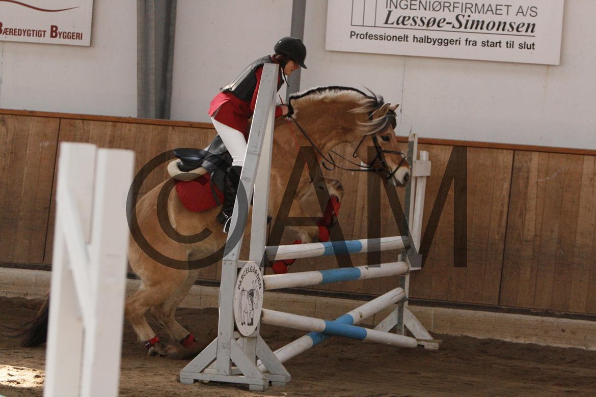 17/03 - 13 | Glostrup rideklub, spring billede 71