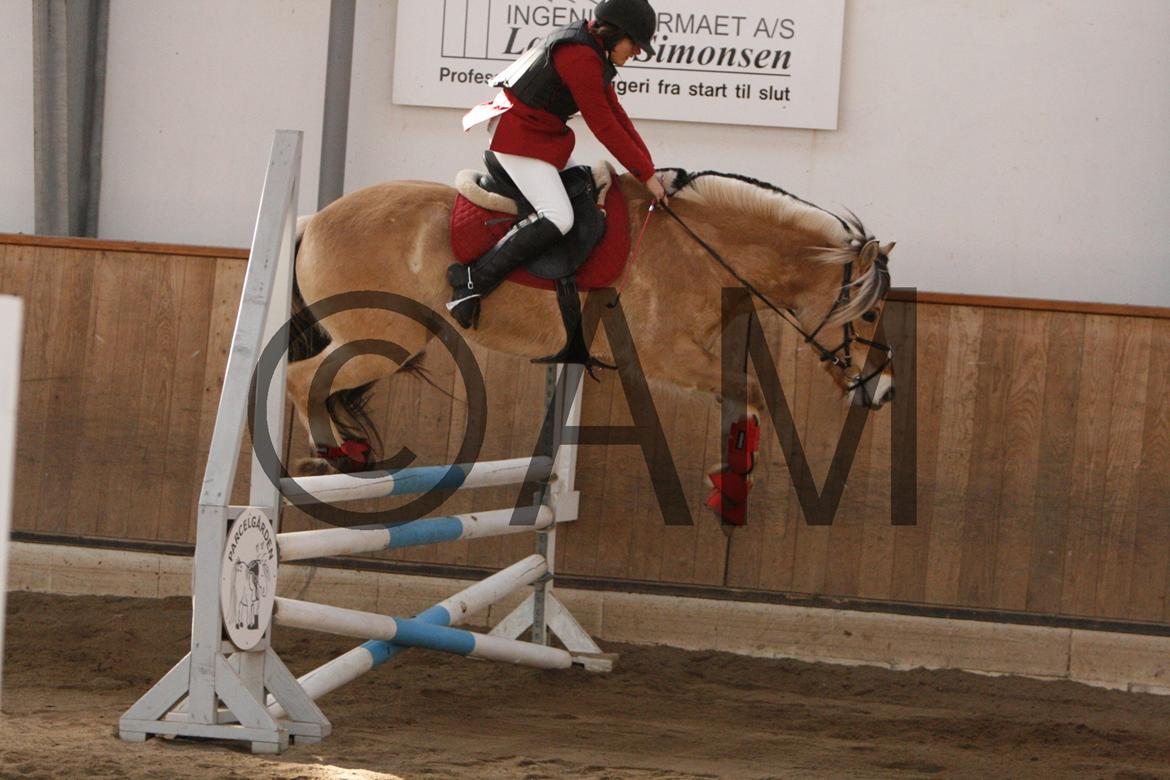 17/03 - 13 | Glostrup rideklub, spring billede 75