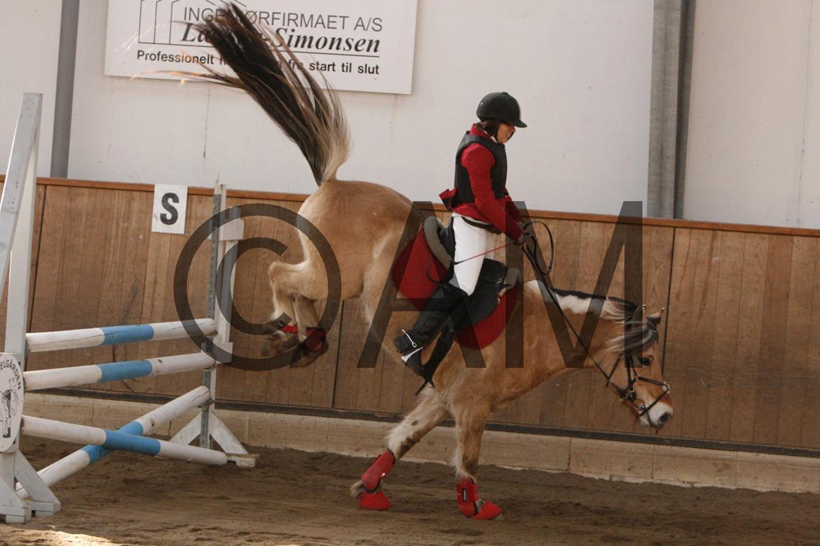 17/03 - 13 | Glostrup rideklub, spring billede 76