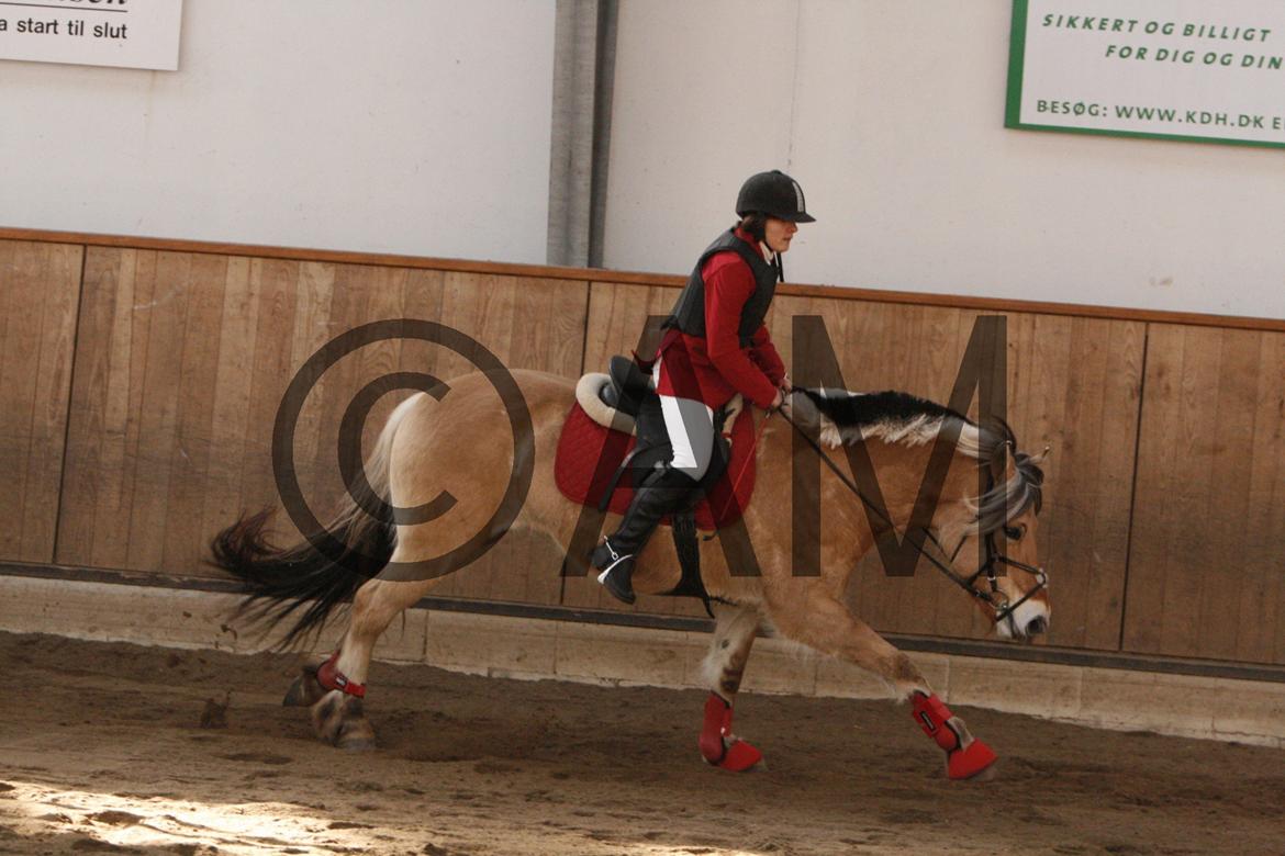 17/03 - 13 | Glostrup rideklub, spring billede 77