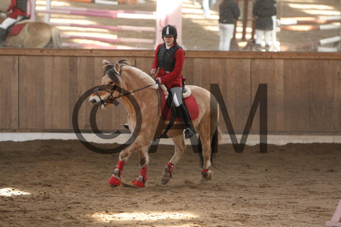 17/03 - 13 | Glostrup rideklub, spring billede 79