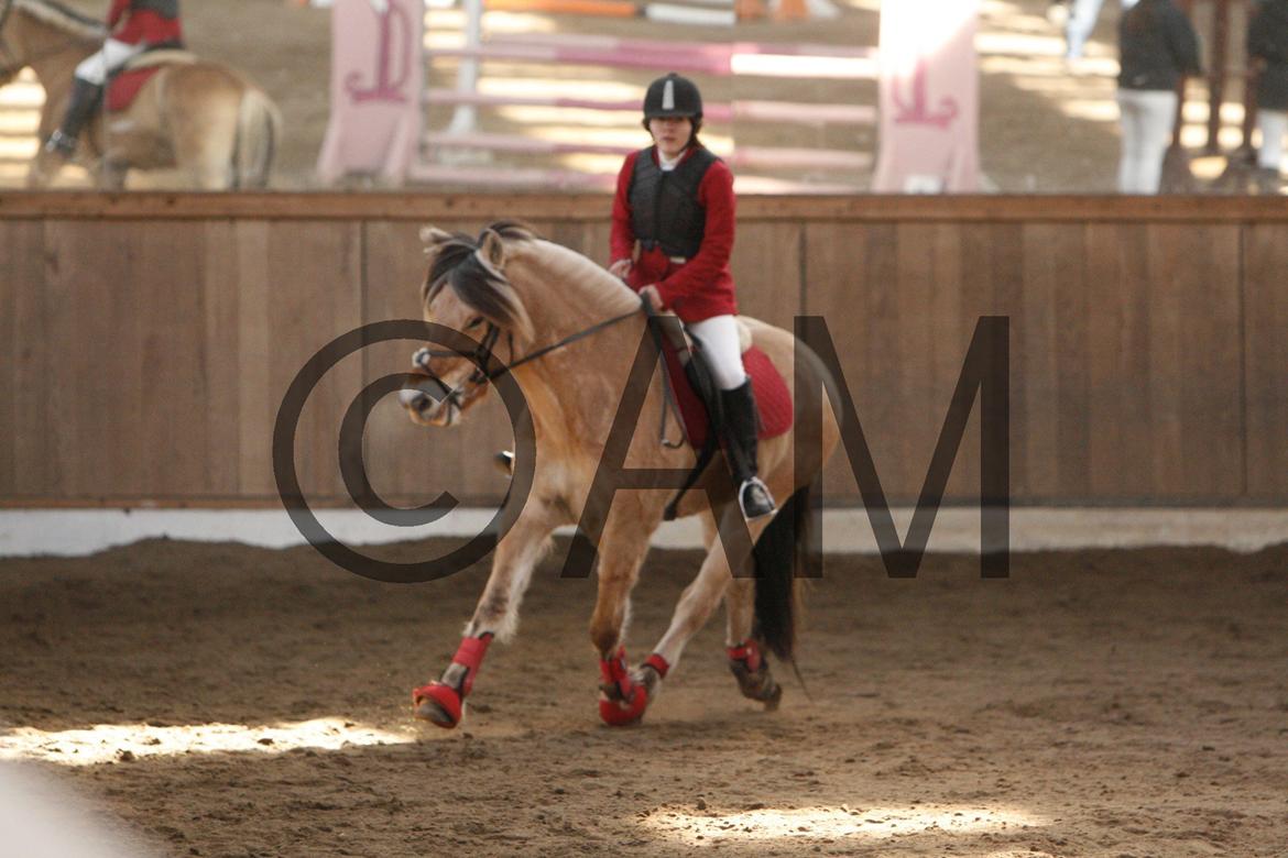 17/03 - 13 | Glostrup rideklub, spring billede 80