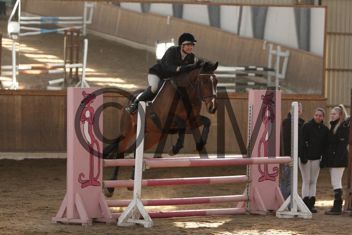 17/03 - 13 | Glostrup rideklub, spring billede 81