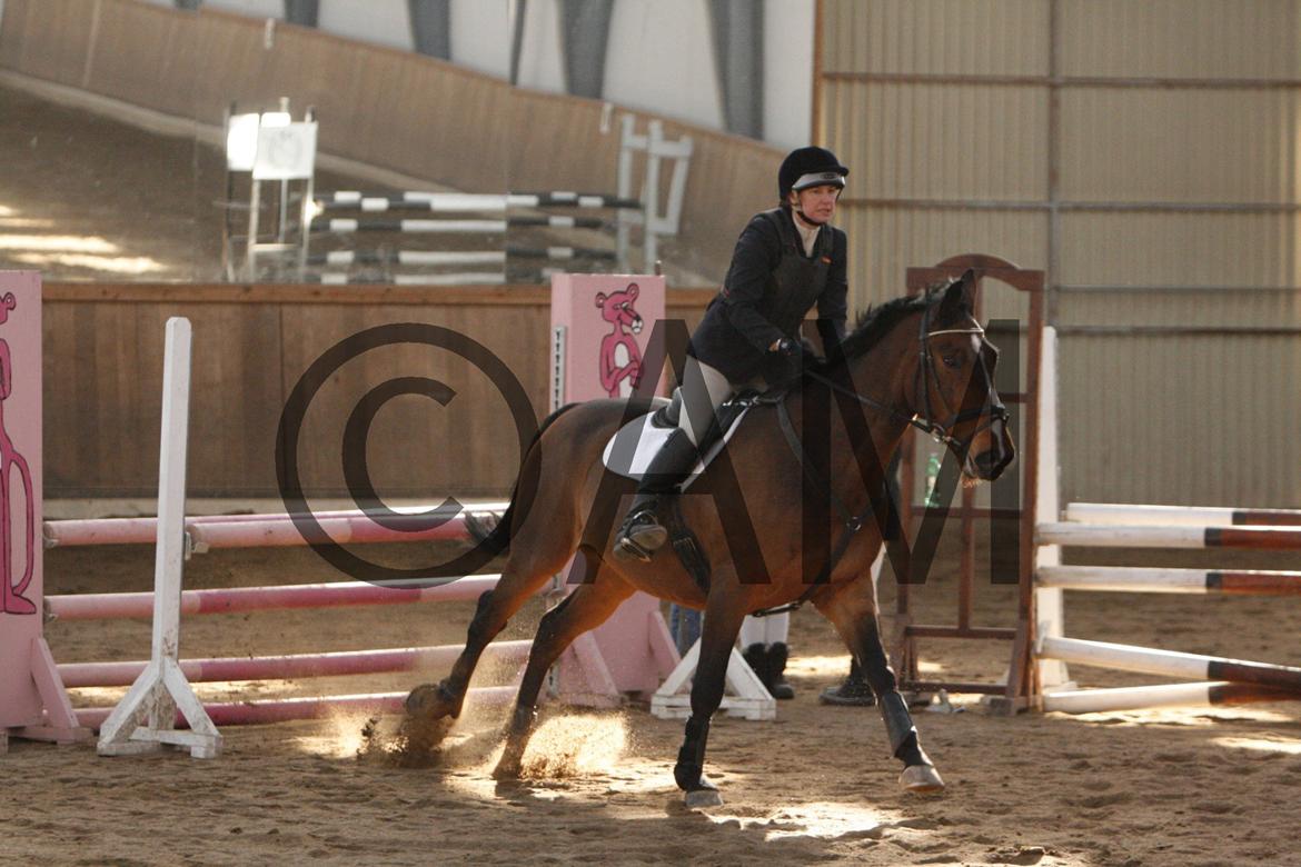 17/03 - 13 | Glostrup rideklub, spring billede 82