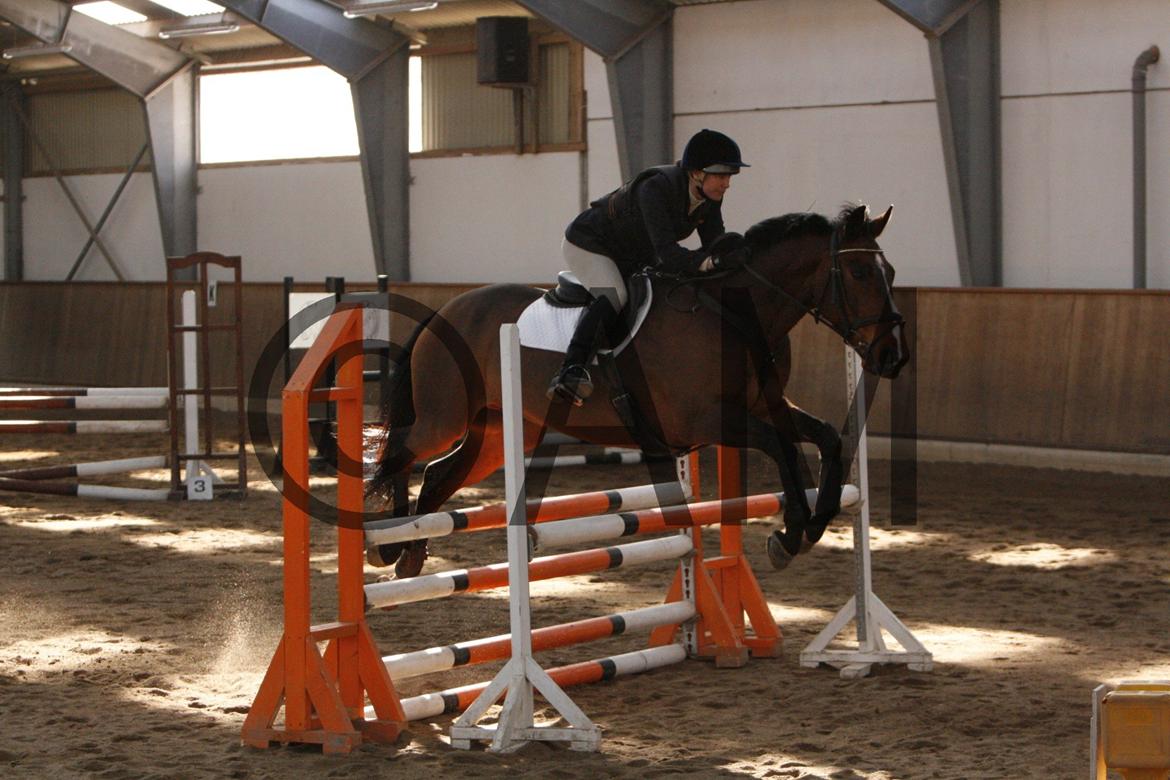 17/03 - 13 | Glostrup rideklub, spring billede 83