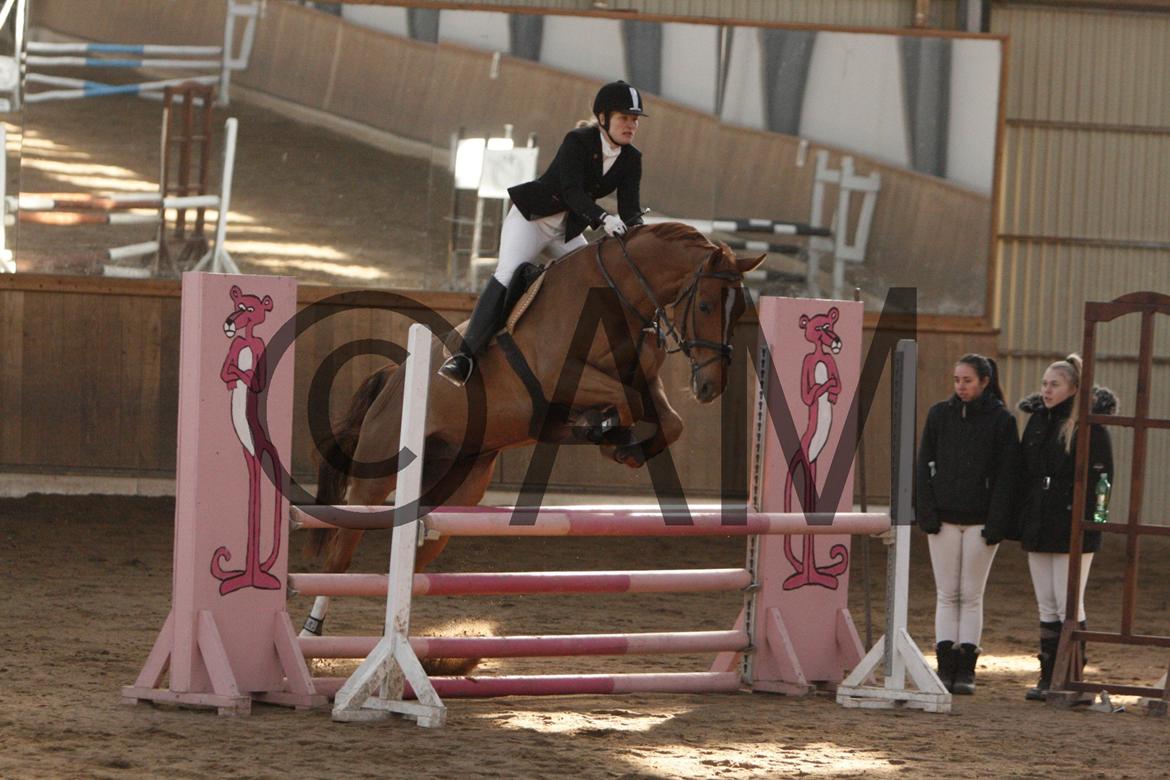 17/03 - 13 | Glostrup rideklub, spring billede 84