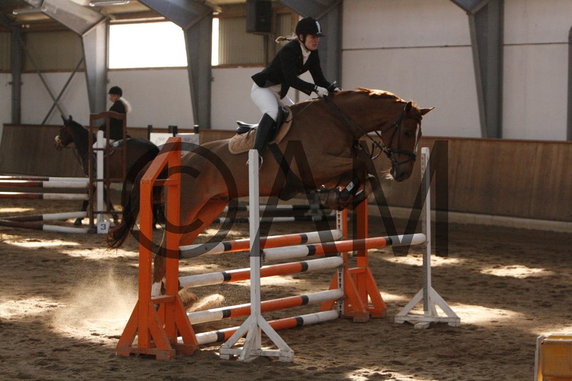 17/03 - 13 | Glostrup rideklub, spring billede 85