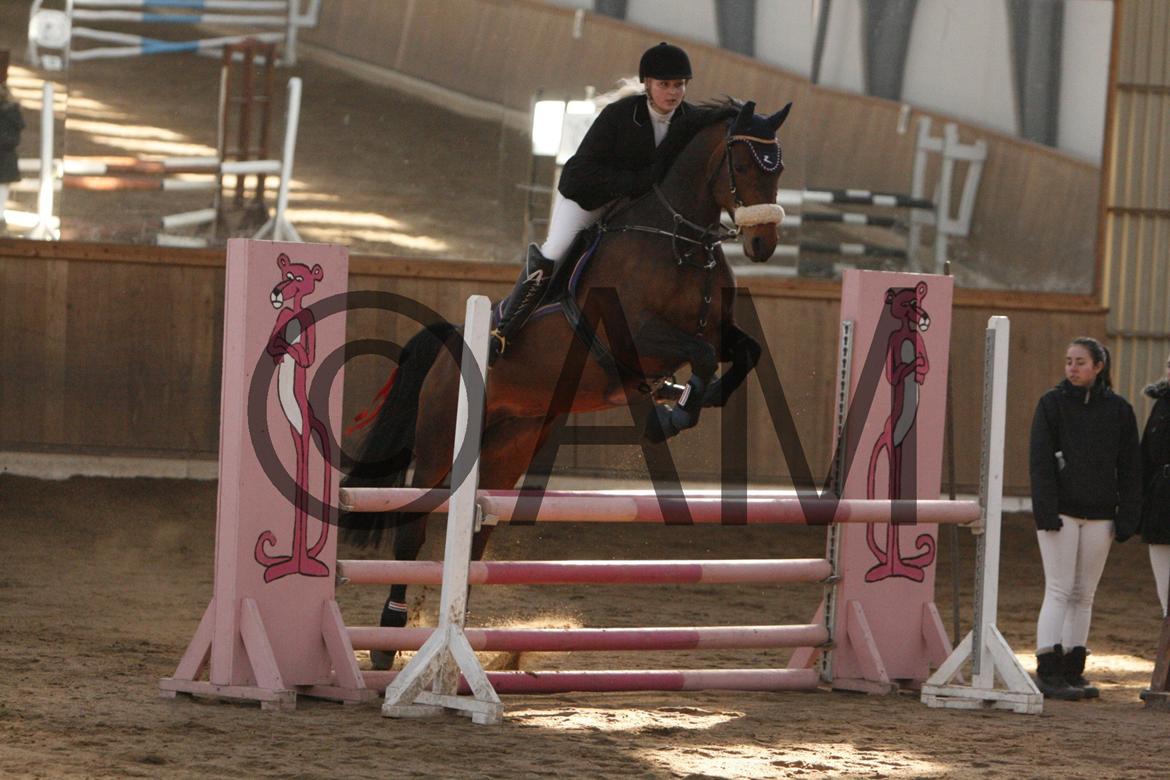 17/03 - 13 | Glostrup rideklub, spring billede 87