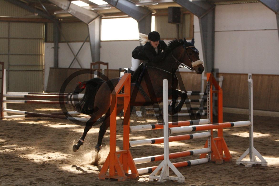 17/03 - 13 | Glostrup rideklub, spring billede 88