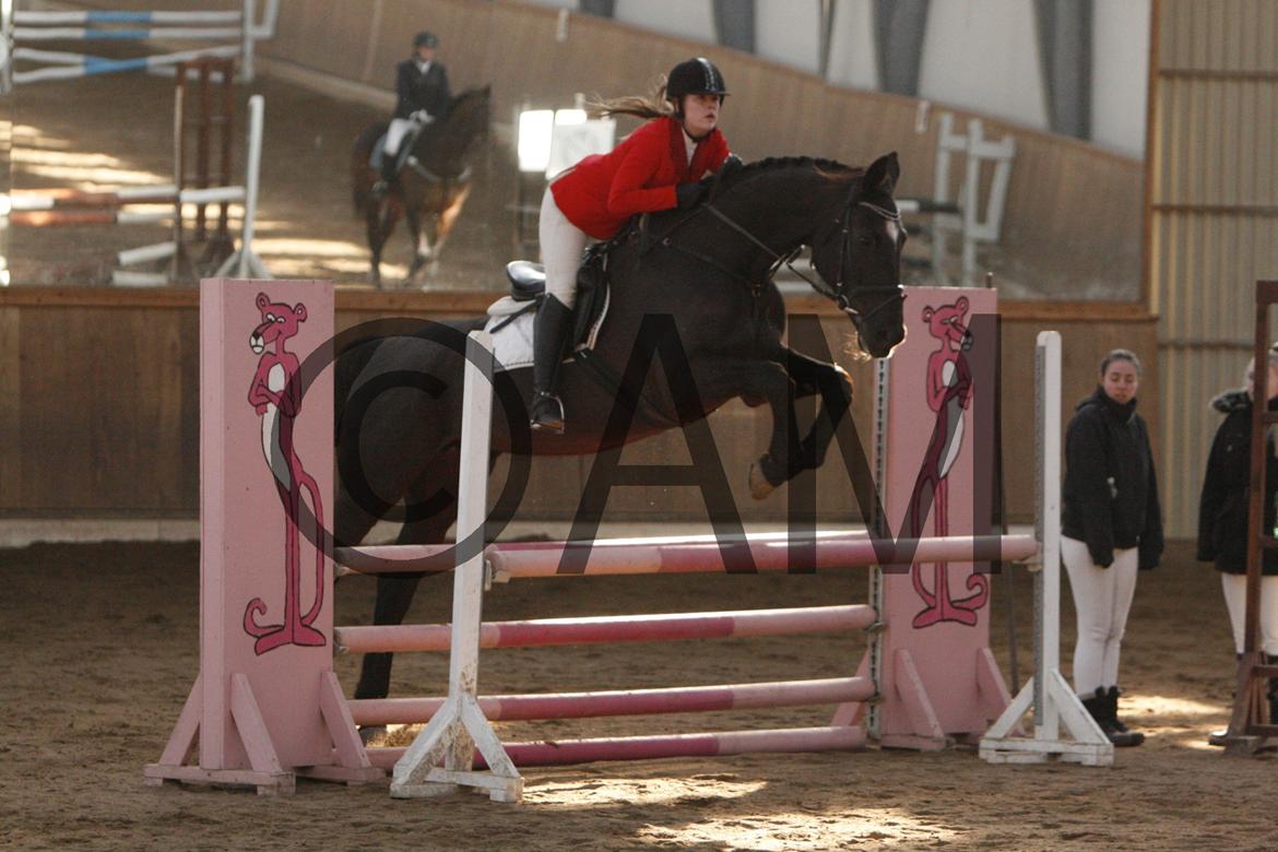 17/03 - 13 | Glostrup rideklub, spring billede 90