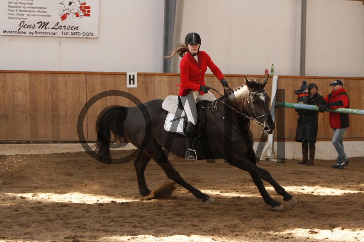 17/03 - 13 | Glostrup rideklub, spring billede 92