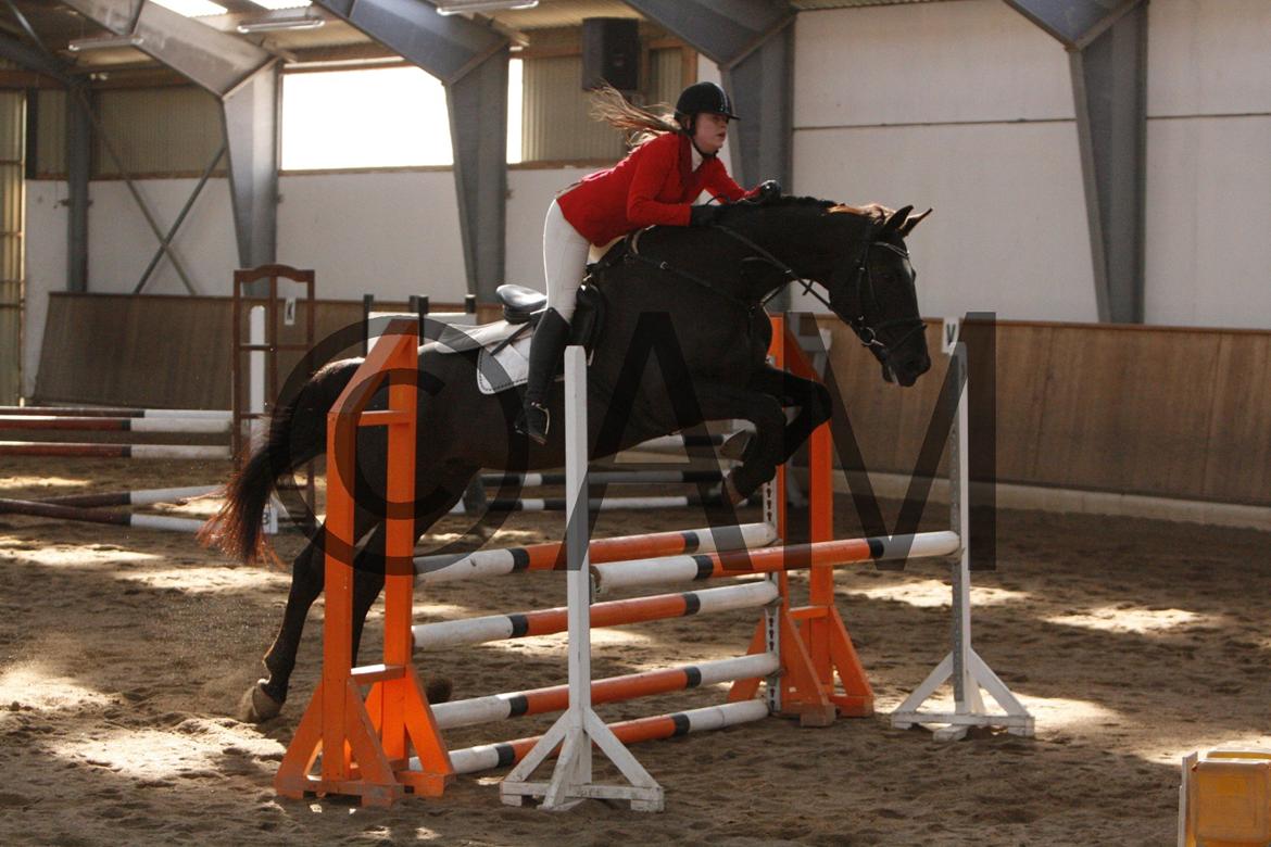 17/03 - 13 | Glostrup rideklub, spring billede 93