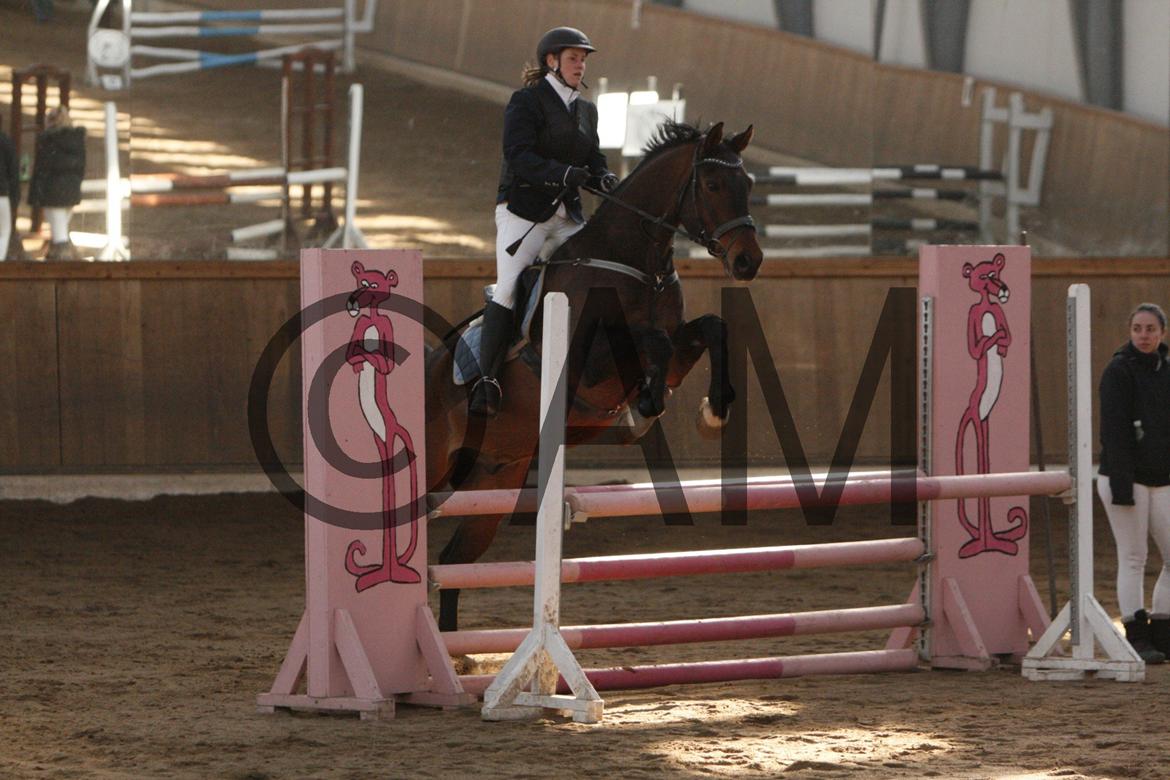 17/03 - 13 | Glostrup rideklub, spring billede 94