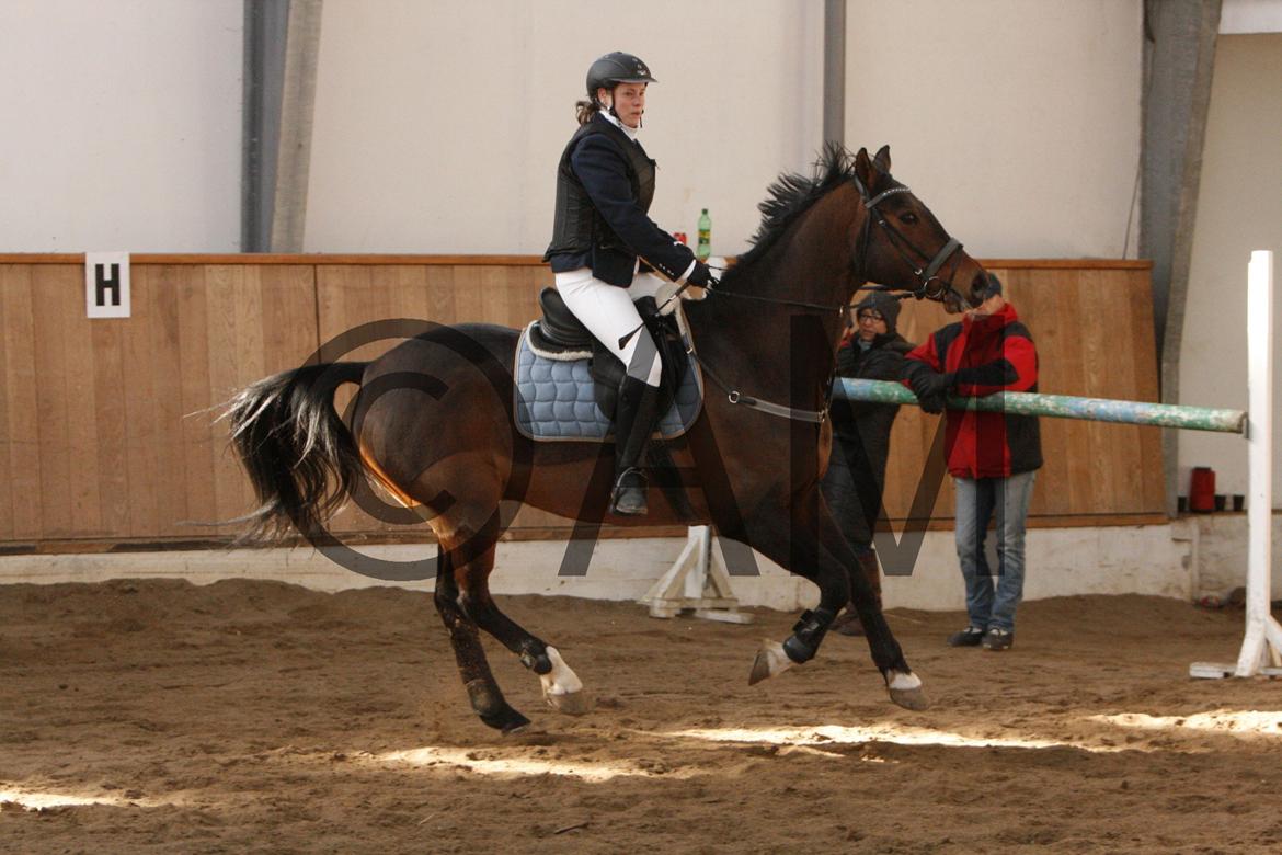 17/03 - 13 | Glostrup rideklub, spring billede 95