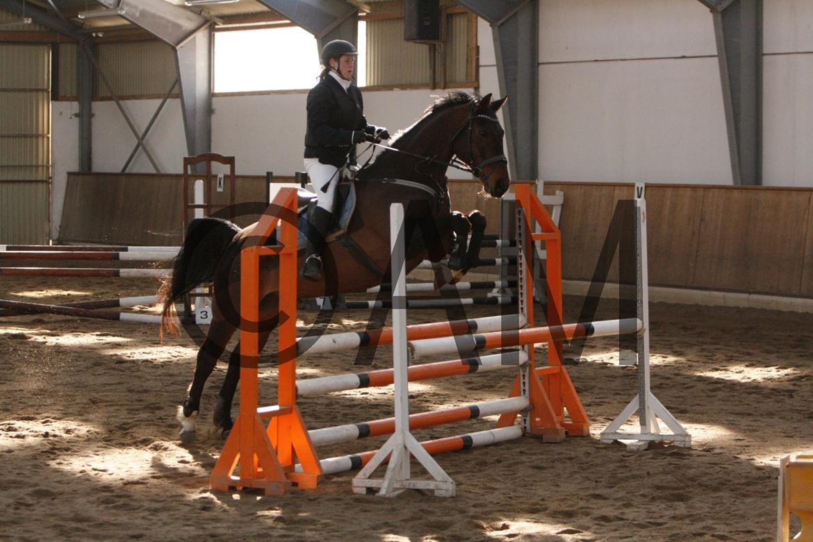 17/03 - 13 | Glostrup rideklub, spring billede 96