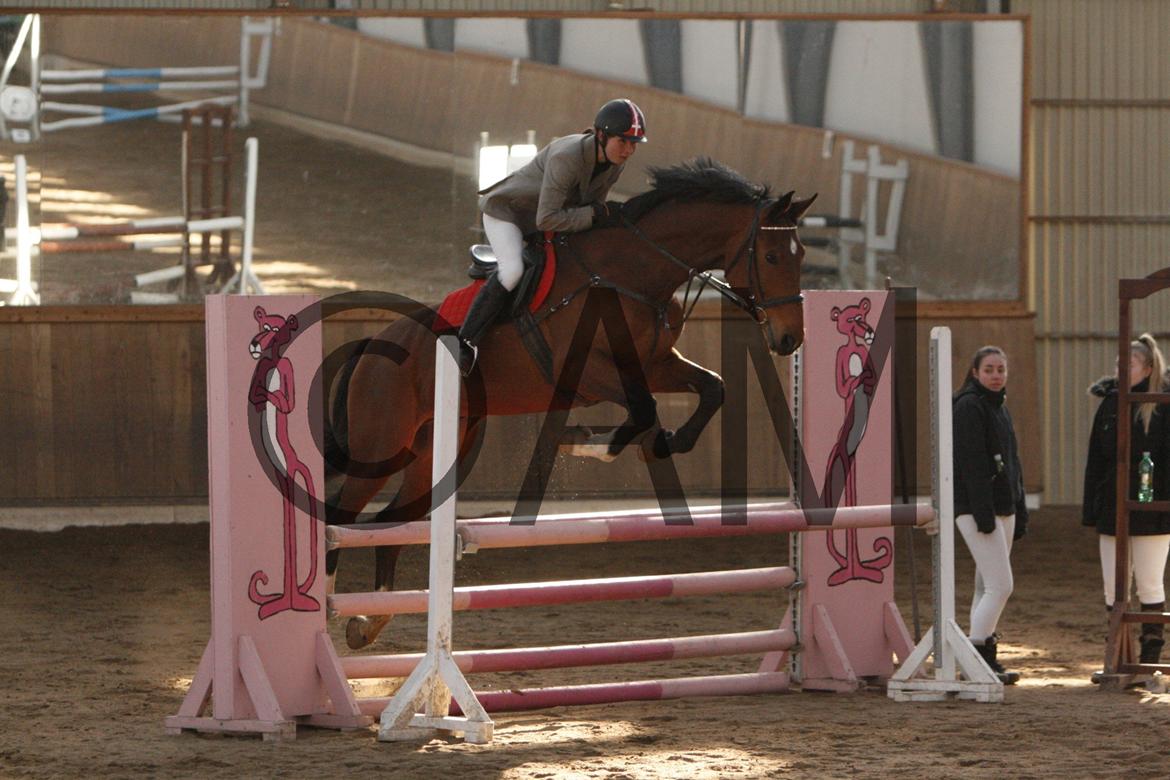 17/03 - 13 | Glostrup rideklub, spring billede 99