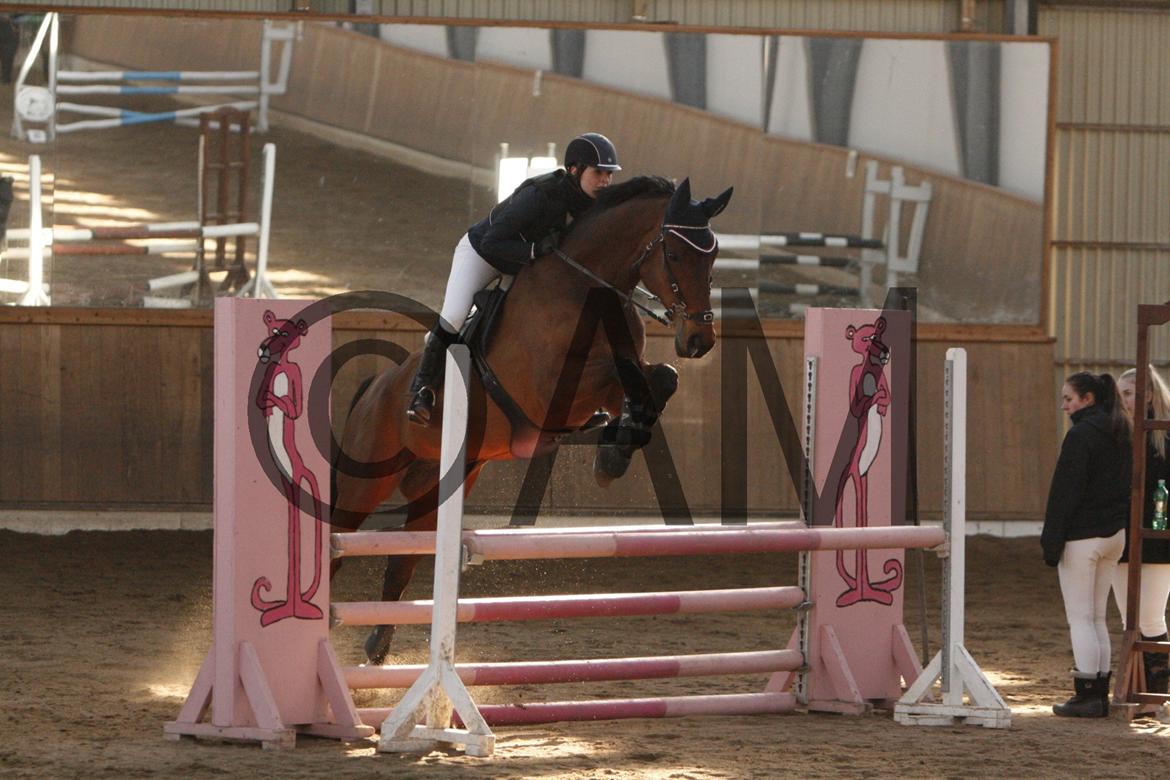 17/03 - 13 | Glostrup rideklub, spring billede 101