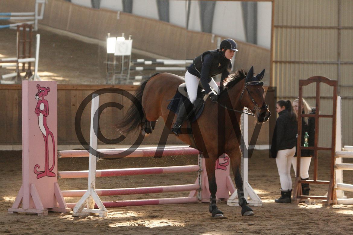 17/03 - 13 | Glostrup rideklub, spring billede 102