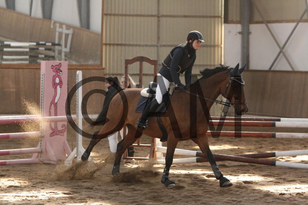 17/03 - 13 | Glostrup rideklub, spring billede 103