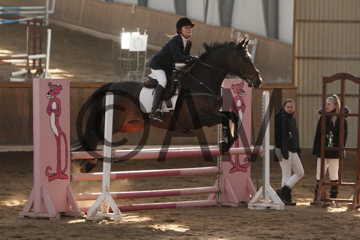 17/03 - 13 | Glostrup rideklub, spring billede 106