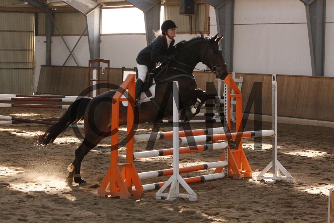 17/03 - 13 | Glostrup rideklub, spring billede 107