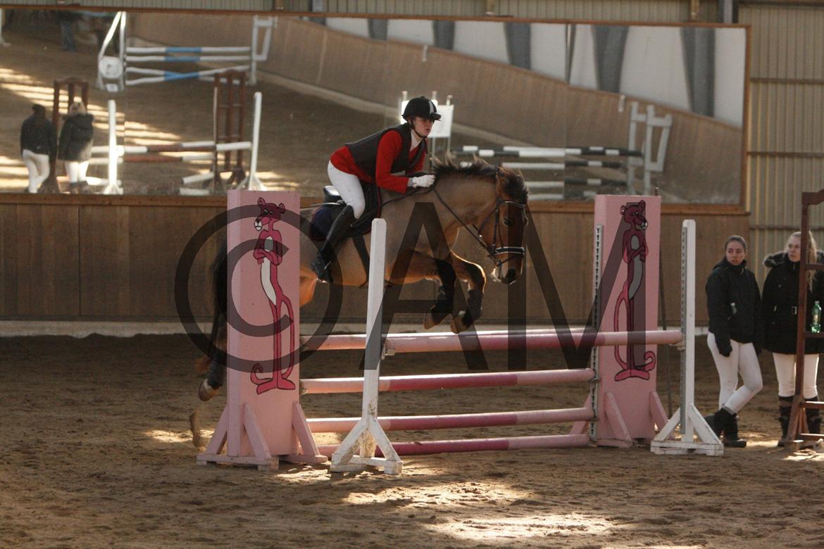 17/03 - 13 | Glostrup rideklub, spring billede 108