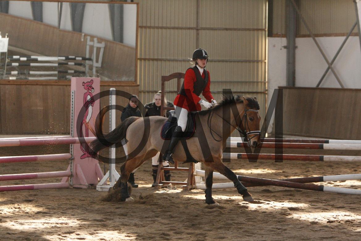 17/03 - 13 | Glostrup rideklub, spring billede 109
