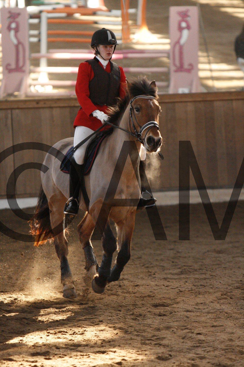 17/03 - 13 | Glostrup rideklub, spring billede 110