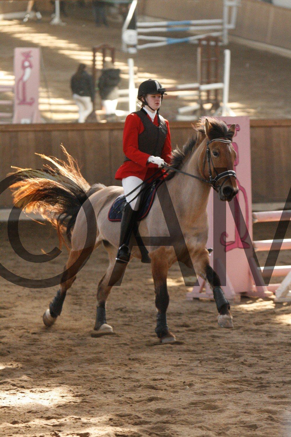 17/03 - 13 | Glostrup rideklub, spring billede 111