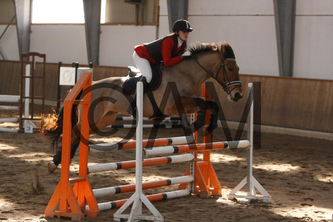 17/03 - 13 | Glostrup rideklub, spring billede 112