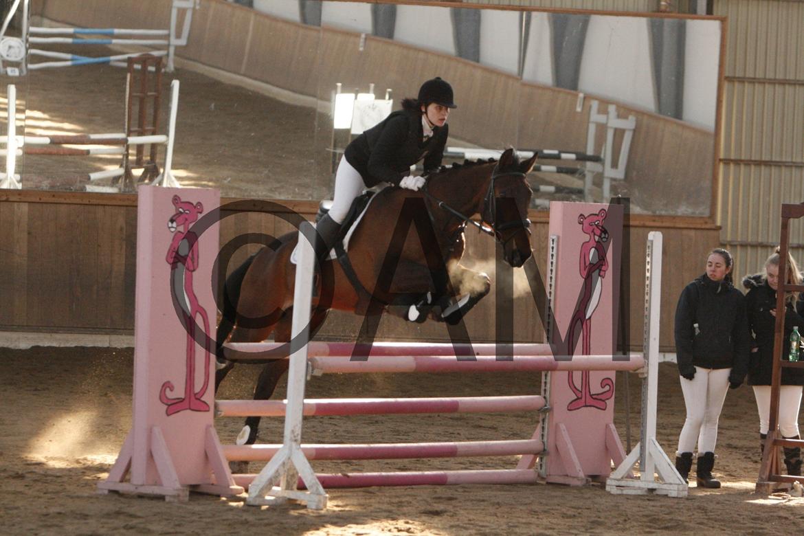 17/03 - 13 | Glostrup rideklub, spring billede 113