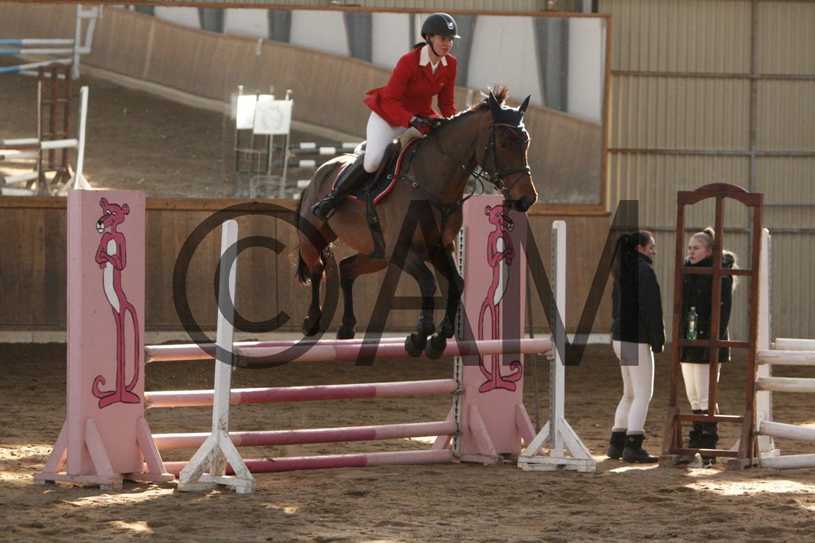 17/03 - 13 | Glostrup rideklub, spring billede 119
