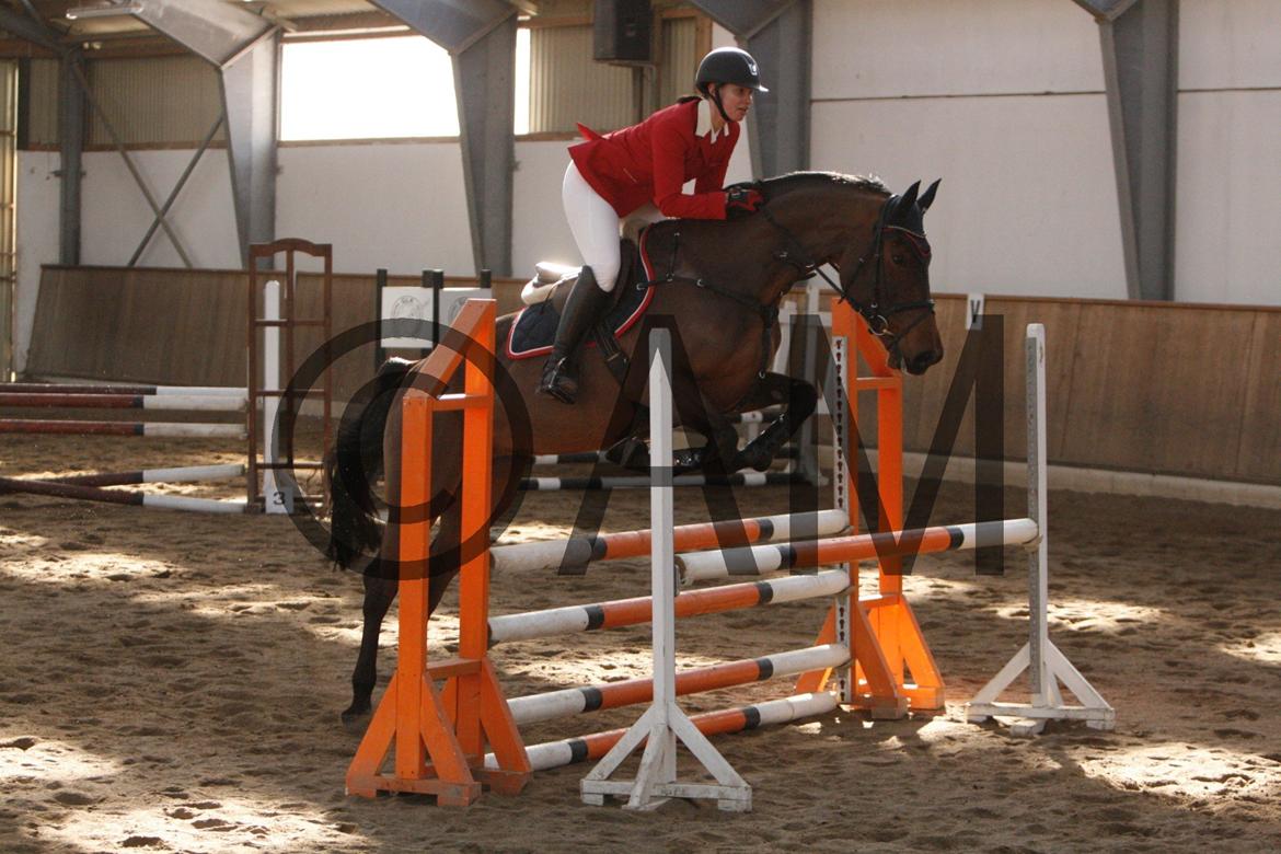 17/03 - 13 | Glostrup rideklub, spring billede 120